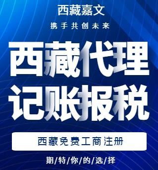 西藏代理記賬收費標準與條件解析